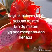 Ngh