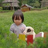 Bảng