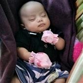 Hổ 