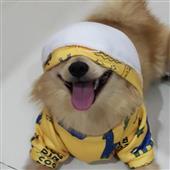 Han