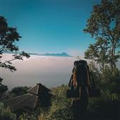 Khỉ