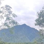 thời
