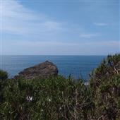 Vòng