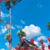 【Bản
