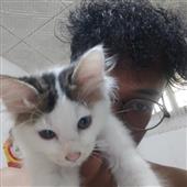 Thá