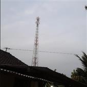 Trự