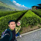 Cuố
