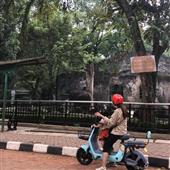 Phần