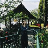 Cược