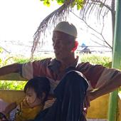 Trực