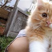 Nhận