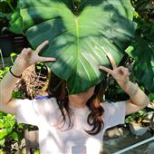 Trự