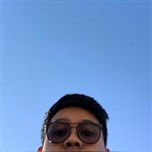 The 