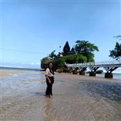 Tiệc