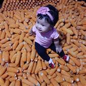 Liên