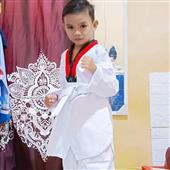 Giả