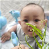 Hoả