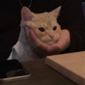 Rồng