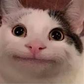 Sòn