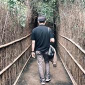 Bầy