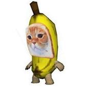 Đán