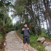 NoLi