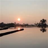 cuộc