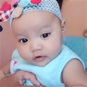 Gấu 