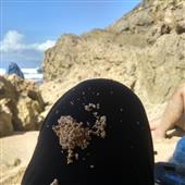 Casi