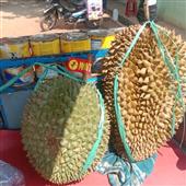 Tài 