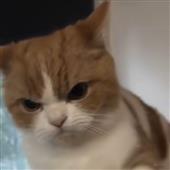 Hìn