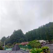 Trự