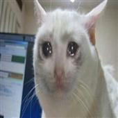 Các