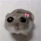 Chú 