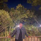 Cung