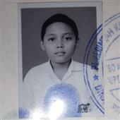 Trực