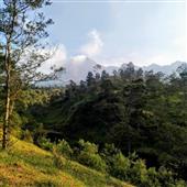 Nhận