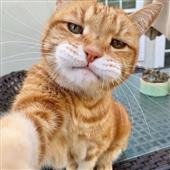 cô 