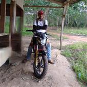 Cung