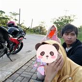 giả