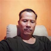 6 bò