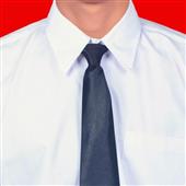 Tố c
