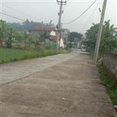 nữ h