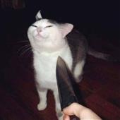 Giả