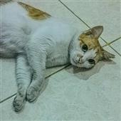 Bảng