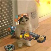 Cơ h