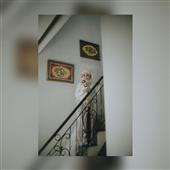 xì 