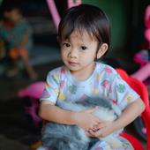 Dự b
