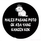 Đá q