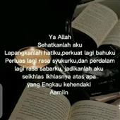 Vua